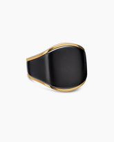 Streamline® Signet Ring in 18K Yellow Gold with Black Titanium, 20.2mm